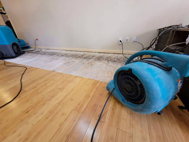 Professional Basement Flood Cleanup technician working in Sheboygan Falls, WI